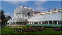 J3372 : The Palm House, Belfast Botanic Gardens by Peter Evans