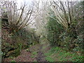 Bridleway descending Pea Hill