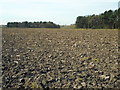 Ploughed field and woodland, Ryecroft Farm