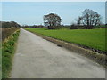 Road from Ryecroft Farm