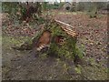 NS3982 : Fairy house in Balloch Park by Lairich Rig