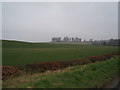 Farmland to east of Pitcairngreen