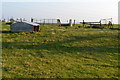 Field gates, Rye Farm