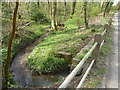 Fylls Brook beside Rusper Road