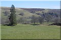 Field, Blackcraig