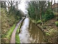 Macclesfield Canal in Congleton