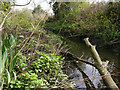 Small stream near Braunstone Lane East