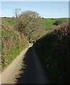 Lane into Trebant Water valley