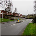 Pedestrian refuge in Thornhill Road, Upper Cwmbran