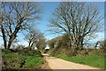 Lane from Lower Trevollard Crossroads