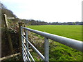 Looking across field from footpath stile