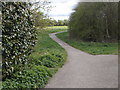 Footpath - Carlton Road