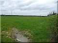 Farmland on the south side of Drakelow Lane