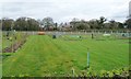 Plant beds, north of Middlewich Road, near King