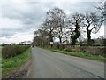 Goostrey Lane heading east to Goostrey Farm