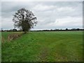 Farmland, Rudheath Lodge Farm [1]