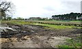 Horticultural land, west of Goostrey Farm