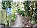 Path to the village