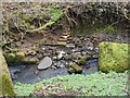 Remains of old building, Craigdhu Burn