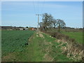 SK1515 : Crop field and hedgerow towards Overley Farm by JThomas