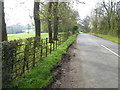 Looking south on Back Lane