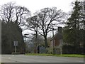 Gateway of Chewton Glen Hotel, New Milton