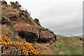 Sandstone and Path