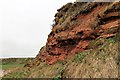 Sandstone Cliff Face