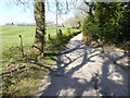 Footpath and access road by fields