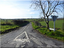 H5266 : Laragh Road, Laragh by Kenneth  Allen