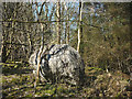 SD4973 : Limestone boulder, Warton Crag by Karl and Ali
