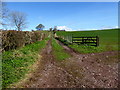 Lane to Donaghanie old graveyard