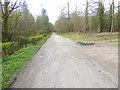 Footpath to Bushy Wood