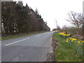 Thick Hollins Road - viewed from Netherthong Road