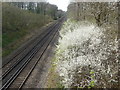 Railway viewed from Hilders Lane