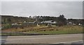 Garden Centre off the M80 at Cumbernauld