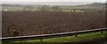 Fields ploughed at Northfield Farm