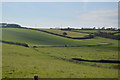 SX7752 : Pasture near Farmstone by N Chadwick