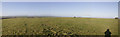 SU5482 : Lowbury Hill Panoramic by Bill Nicholls