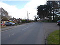 Bogs Lane - viewed from Hillbank View