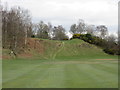 Dunkeld & Birnam, 8th hole, Birk Knowe