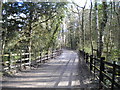 Track through Bestwood Country Park (2)