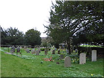 TQ4851 : St Mary, Ide Hill: churchyard (k) by Basher Eyre