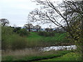 The river Dee at Farndon bridge