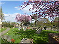 TQ3793 : All Saints Churchyard, Chingford by Marathon