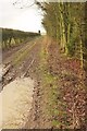 SE3764 : Path to Waingates Farm by Derek Harper