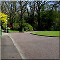 Wheelie bins at the edge of Bath Wood, Cwmbran