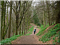 NZ4902 : Path in Whorl Hill Wood by Trevor Littlewood