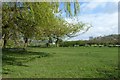 Fields near the Normans