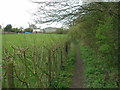 Footpath towards Hills Farm, Gosforth Valley